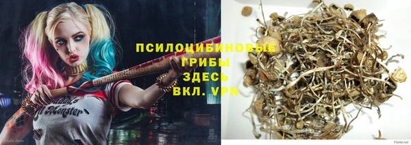 стафф Пестово