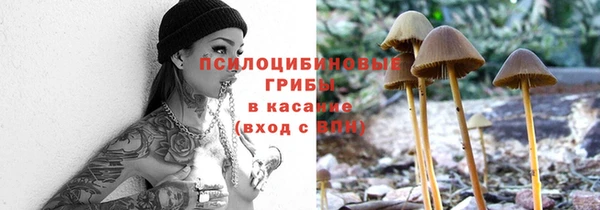 трава Арсеньев